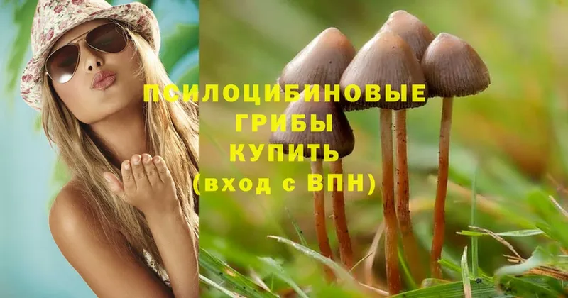 Галлюциногенные грибы MAGIC MUSHROOMS  где купить наркоту  OMG ссылка  Полысаево 